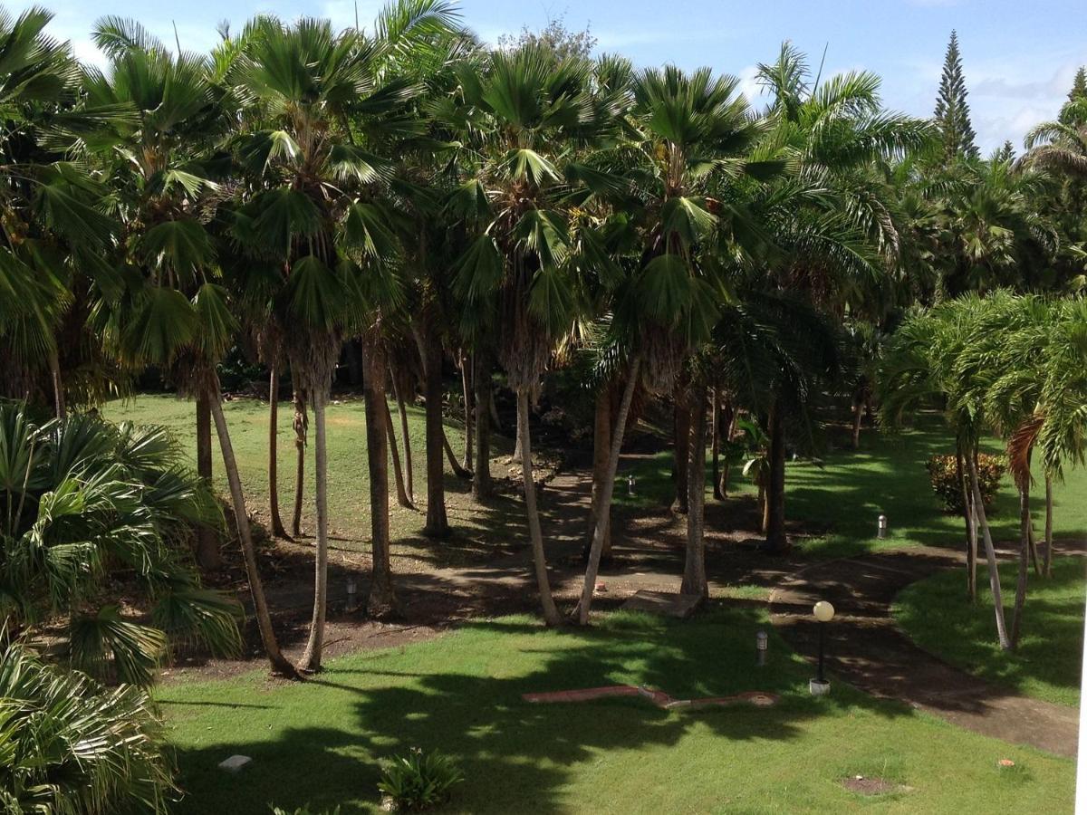 Coeur Tiare Studio Lounge Piscine Plage Cocotiers 圣弗朗索瓦 外观 照片
