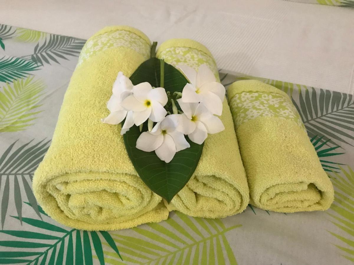 Coeur Tiare Studio Lounge Piscine Plage Cocotiers 圣弗朗索瓦 外观 照片