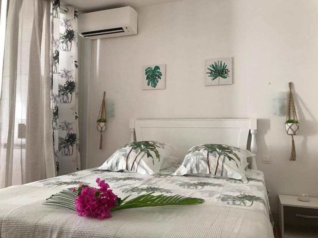 Coeur Tiare Studio Lounge Piscine Plage Cocotiers 圣弗朗索瓦 外观 照片
